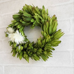 グリーンの癒しリース　ネイティブフラワー　生花からドライフラワーになる過程を楽しむ　玄関リース　ウエルカムリース　母の日 6枚目の画像