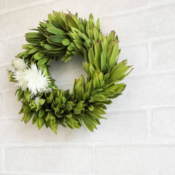 グリーンの癒しリース　ネイティブフラワー　生花からドライフラワーになる過程を楽しむ　玄関リース　ウエルカムリース　母の日 8枚目の画像