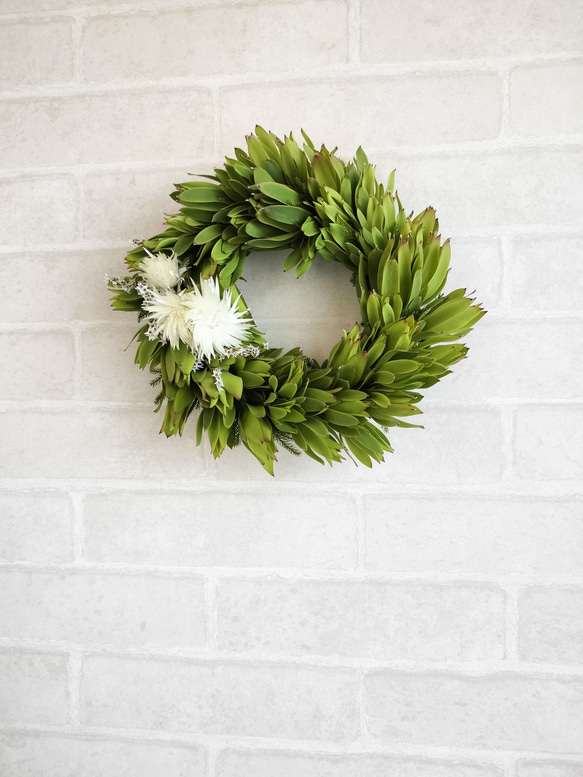 グリーンの癒しリース　ネイティブフラワー　生花からドライフラワーになる過程を楽しむ　玄関リース　ウエルカムリース　母の日 5枚目の画像