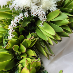 グリーンの癒しリース　ネイティブフラワー　生花からドライフラワーになる過程を楽しむ　玄関リース　ウエルカムリース　母の日 10枚目の画像