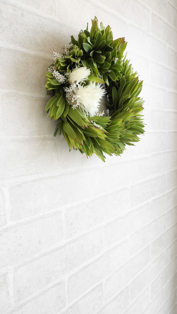 グリーンの癒しリース　ネイティブフラワー　生花からドライフラワーになる過程を楽しむ　玄関リース　ウエルカムリース　母の日 9枚目の画像
