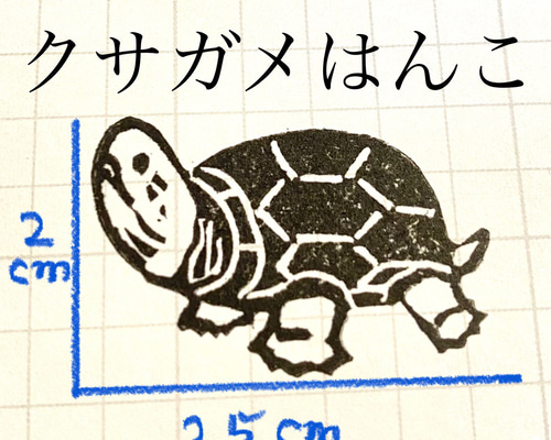 クサガメはんこ（消しゴムはんこ クサガメ ミニはんこ はんこ カメ 亀 