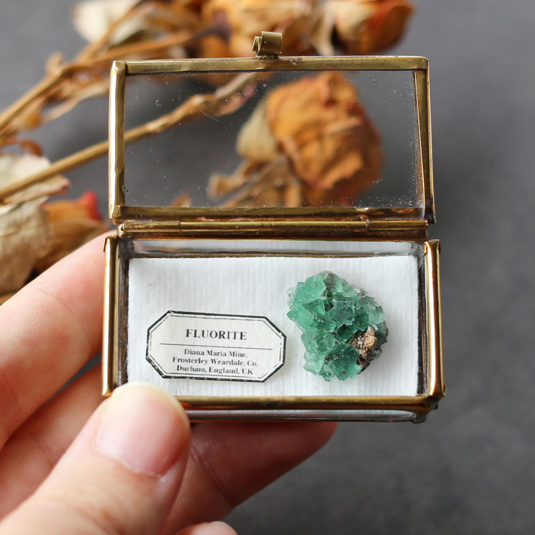 Diana Maria鉱山　フローライト　fluorite 鉱物　鉱物標本　原石 ダイアナマリア鉱山産 フローライト