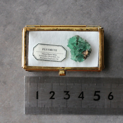 ダイアナマリア鉱山フローライトのミニチュアクラスター 鉱物標本 ミニチュア 蛍石 天然石 原石 送料無料 16枚目の画像