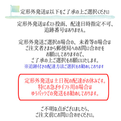 不定期入荷/お試し版*スワロ*癒し色サンキャッチャー 7枚目の画像