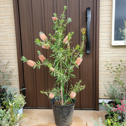 552ee6c87c5cbab3452e6868112472