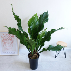 b80e3271155957f94763c6a3e0855d