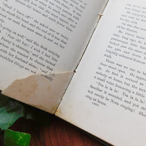 ゜+ 19世紀 洒落たボタニカルイラスト付き表紙 英国 アンティーク