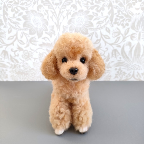 羊毛フェルト 小さなトイプードルさん 羊毛フェルト 羊毛わんこ
