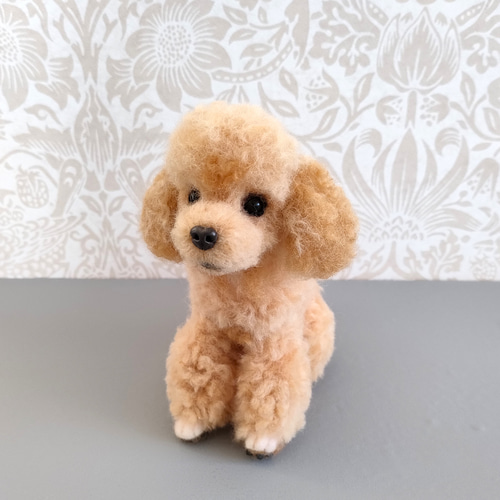 羊毛フェルト 小さなトイプードルさん 羊毛フェルト 羊毛わんこ 福や