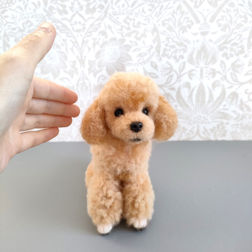 羊毛フェルト 小さなトイプードルさん 羊毛フェルト 羊毛わんこ