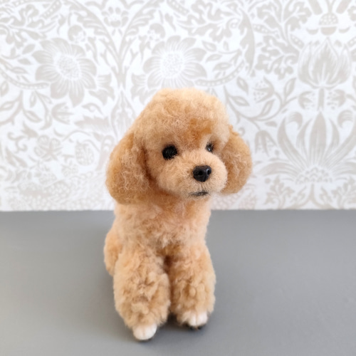 羊毛フェルト　チワワ　トイプードル いちごちゃん (о´∀`о) 骨格もずっしりむちむちチワワちゃん