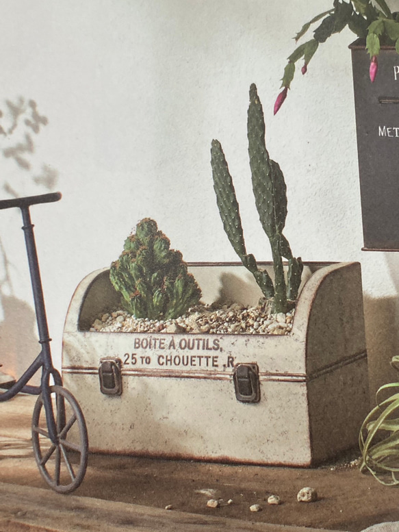 《可愛いトランク型 ブリキ鉢》観葉植物 多肉植物 お花の寄せ植えに ガーデニング ビオラ パンジー アンティーク 270 2枚目の画像