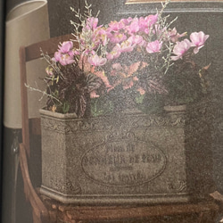 《可愛い英字小プランター鉢 》ピエーノワイド 観葉植物 多肉植物 お花の寄せ植え ガーデニング アンティーク 276 2枚目の画像
