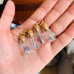  第11張的照片