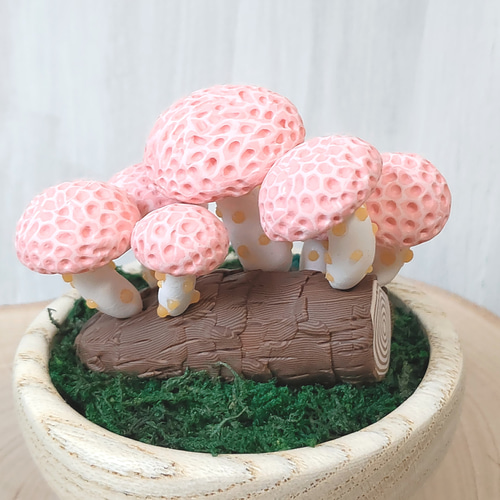 きのこ みつけた ホシアンズタケ ポリマークレイ その他インテリア雑貨