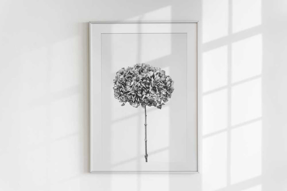 アートポスター、あじさい、ボタニカル、モノトーン、古民家、北欧