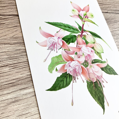 ボタニカル・アート m.o.g.a_designstore 繊維壁320×250 #植物アート #壁画アート