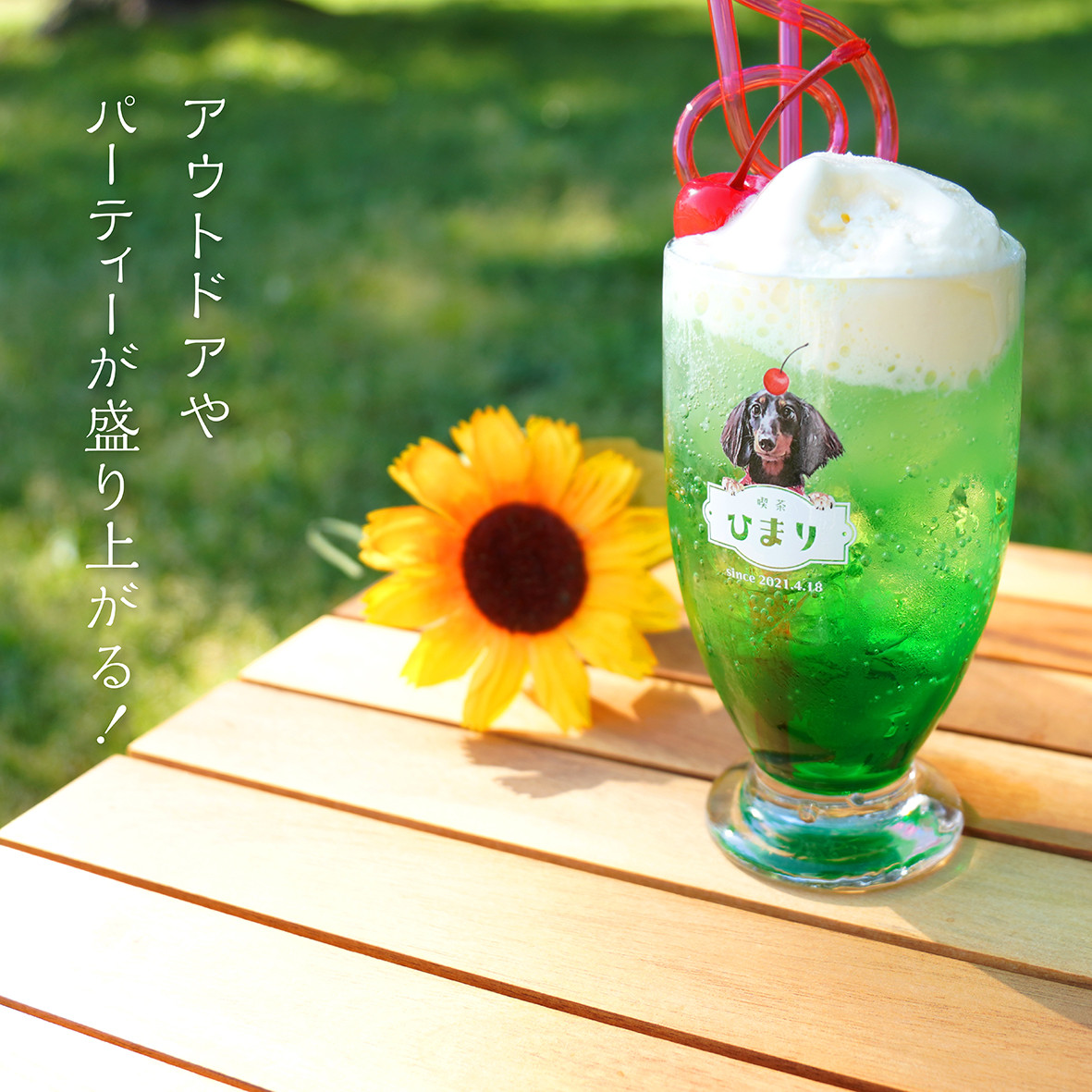 レトログラス ★犬猫 うちの子 ★オーダーメイド ★写真＋名入れ ★今流行りのレトロ喫茶風デザイン！