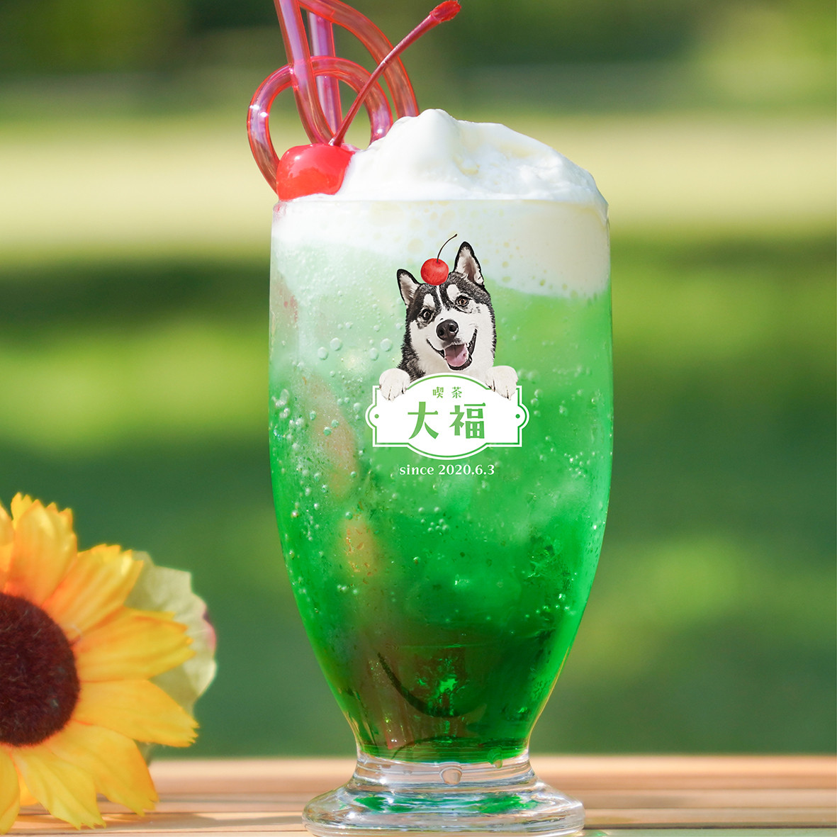 レトログラス ★犬猫 うちの子 ★オーダーメイド ★写真＋名入れ ★今流行りのレトロ喫茶風デザイン！
