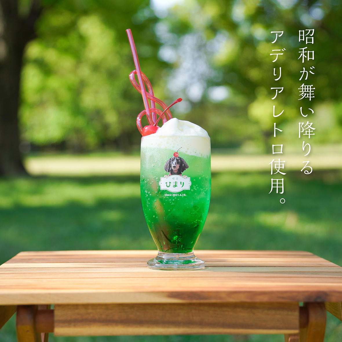 レトログラス ★犬猫 うちの子 ★オーダーメイド ★写真＋名入れ ★今流行りのレトロ喫茶風デザイン！