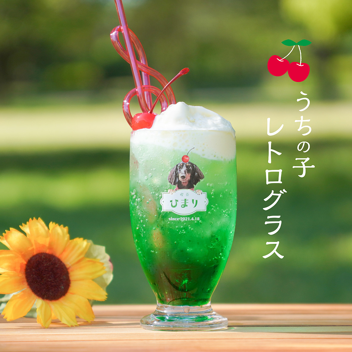 レトログラス ★犬猫 うちの子 ★オーダーメイド ★写真＋名入れ ★今流行りのレトロ喫茶風デザイン！ 4,748円