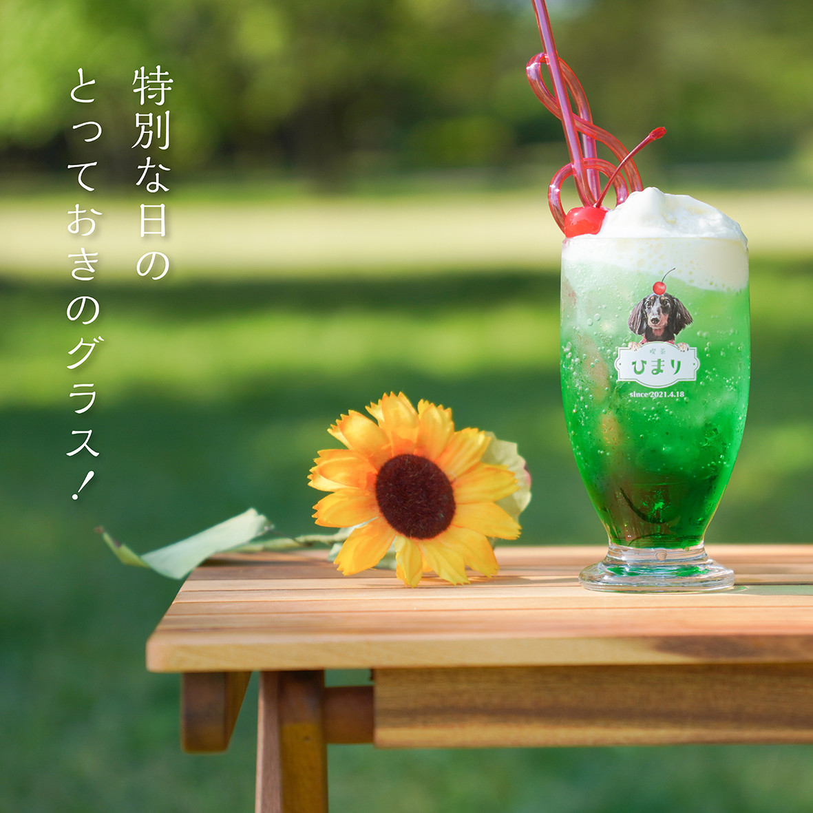 レトログラス ★犬猫 うちの子 ★オーダーメイド ★写真＋名入れ ★今流行りのレトロ喫茶風デザイン！
