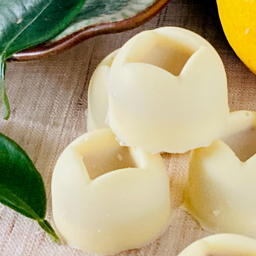 オーガニックビター＆ミルク＆ホワイト＆生チョコセット＜15個