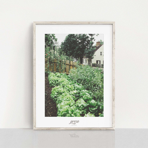 アメリカ ノースカロライナ州の緑溢れる家庭菜園 - 命を育む手のひらサイズの庭、新鮮な野菜と共に豊かな毎日を 1枚目の画像