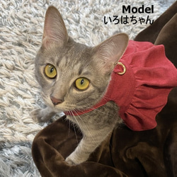 パステルチェックの猫ちゃんミニスカハーネス 5枚目の画像