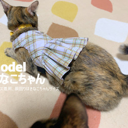 パステルチェックの猫ちゃんミニスカハーネス 7枚目の画像