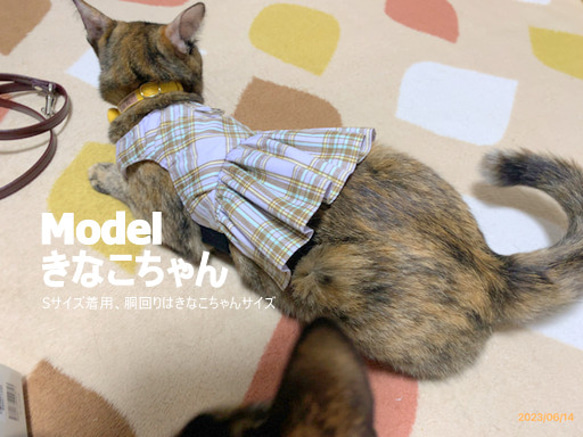 パステルチェックの猫ちゃんミニスカハーネス 7枚目の画像