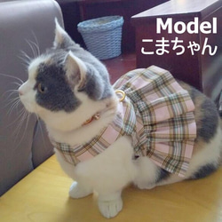 パステルチェックの猫ちゃんミニスカハーネス 6枚目の画像