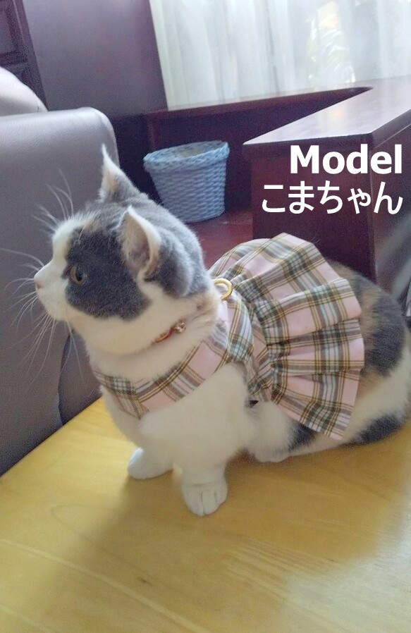 パステルチェックの猫ちゃんミニスカハーネス 6枚目の画像