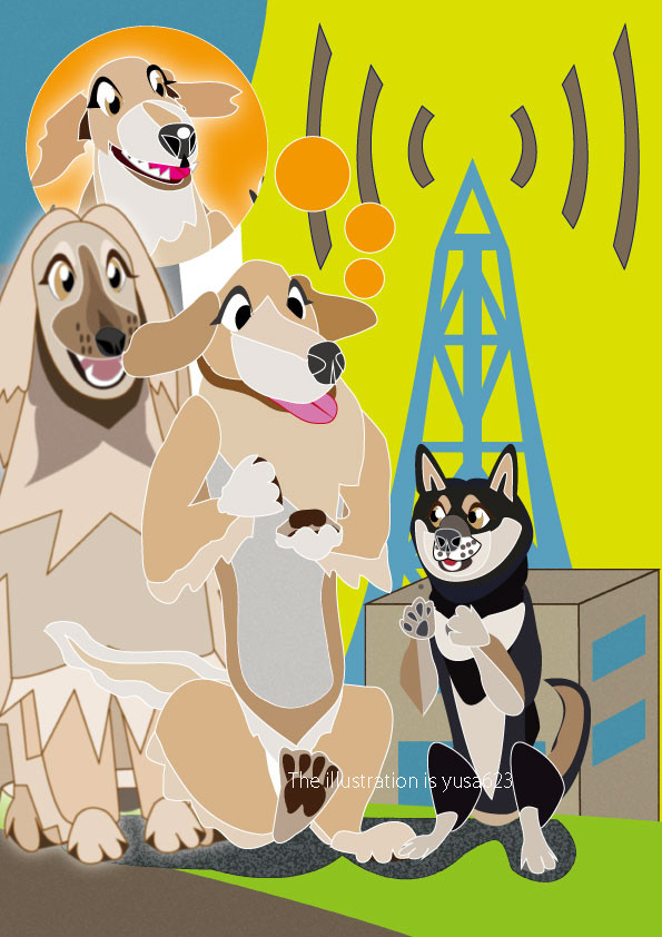 ニュー紺ダミンエックス トリオＤＥオーディション～の自画自賛！