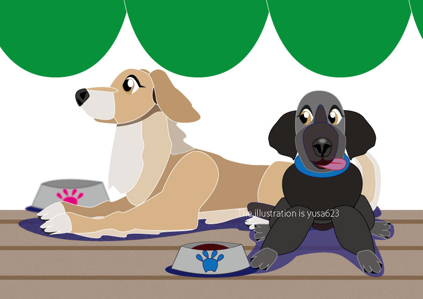 ニュー紺ダミンエックス　お嬢さん、僕の分どう？