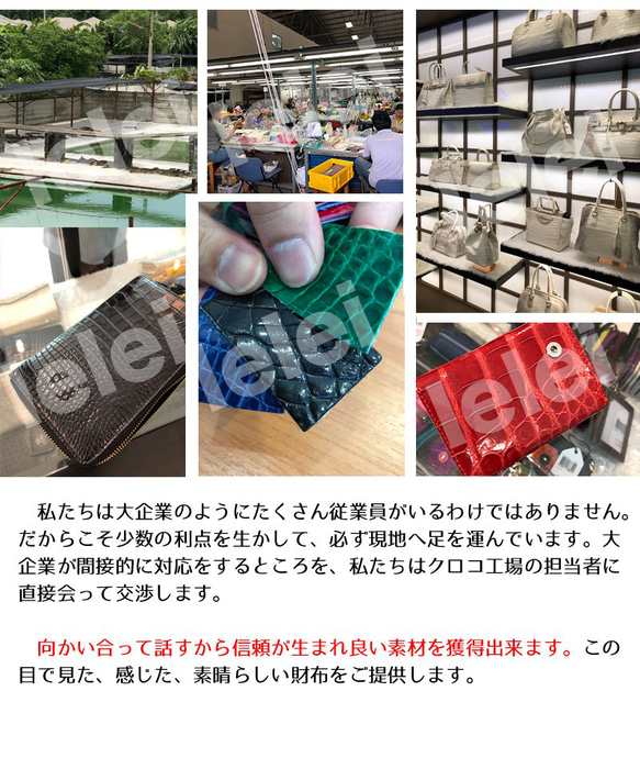 【本物】【ヒマラヤクロコダイル】二つ折り財布 2つ折り財布 クロコダイル クロコ 財布 メンズ レディース ホワイト 14枚目の画像