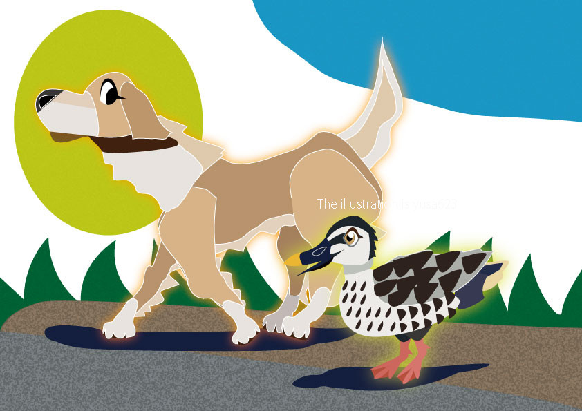 ニュー紺ダミンエックス 蹴るなよ、絶対に蹴るなよ！