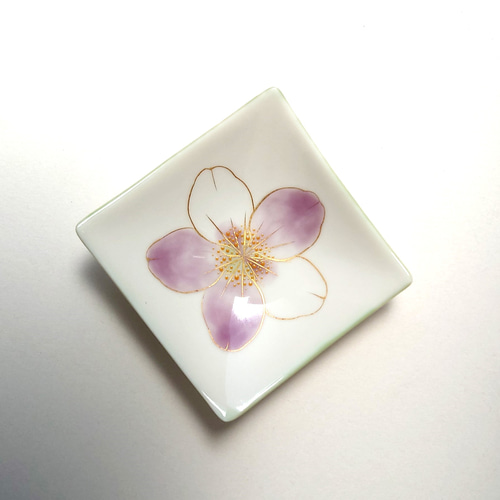 ピンク色に色づいた桜が美しいお皿 花々（桜）三寸角皿 磁器 小皿 raku