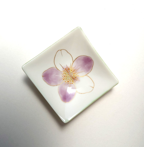 ピンク色に色づいた桜が美しいお皿　花々（桜）三寸角皿　磁器 10枚目の画像