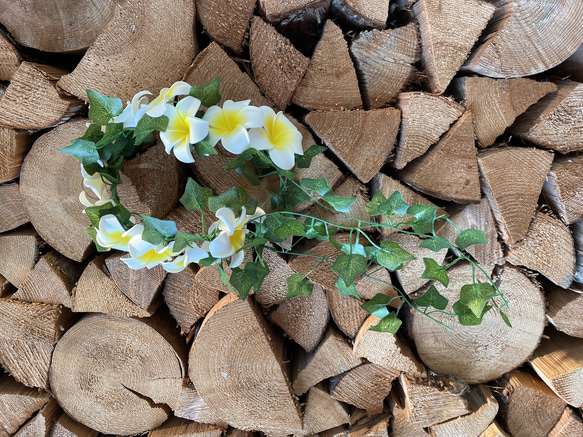 プルメリアの花冠〜Lea〜アーティフィシャルフラワー 7枚目の画像