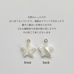 セット〖 夏を楽しむネックレス 〗ターコイズ シェル サージカルステンレス レイヤード 重ね付け 9枚目の画像