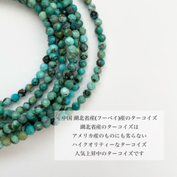 セット〖 夏を楽しむネックレス 〗ターコイズ シェル サージカルステンレス レイヤード 重ね付け 5枚目の画像