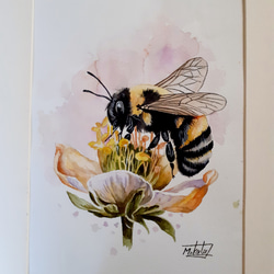 9d4d31e9676debc61ba1631a91abe4