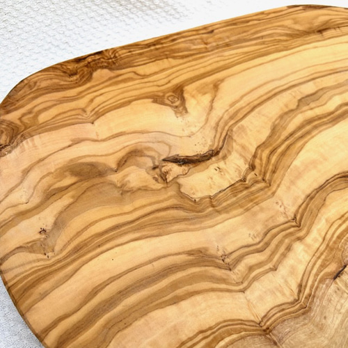 ◇オリーブの木 個性あふれる1点もの 健やかに伸びやかに 約54cm  