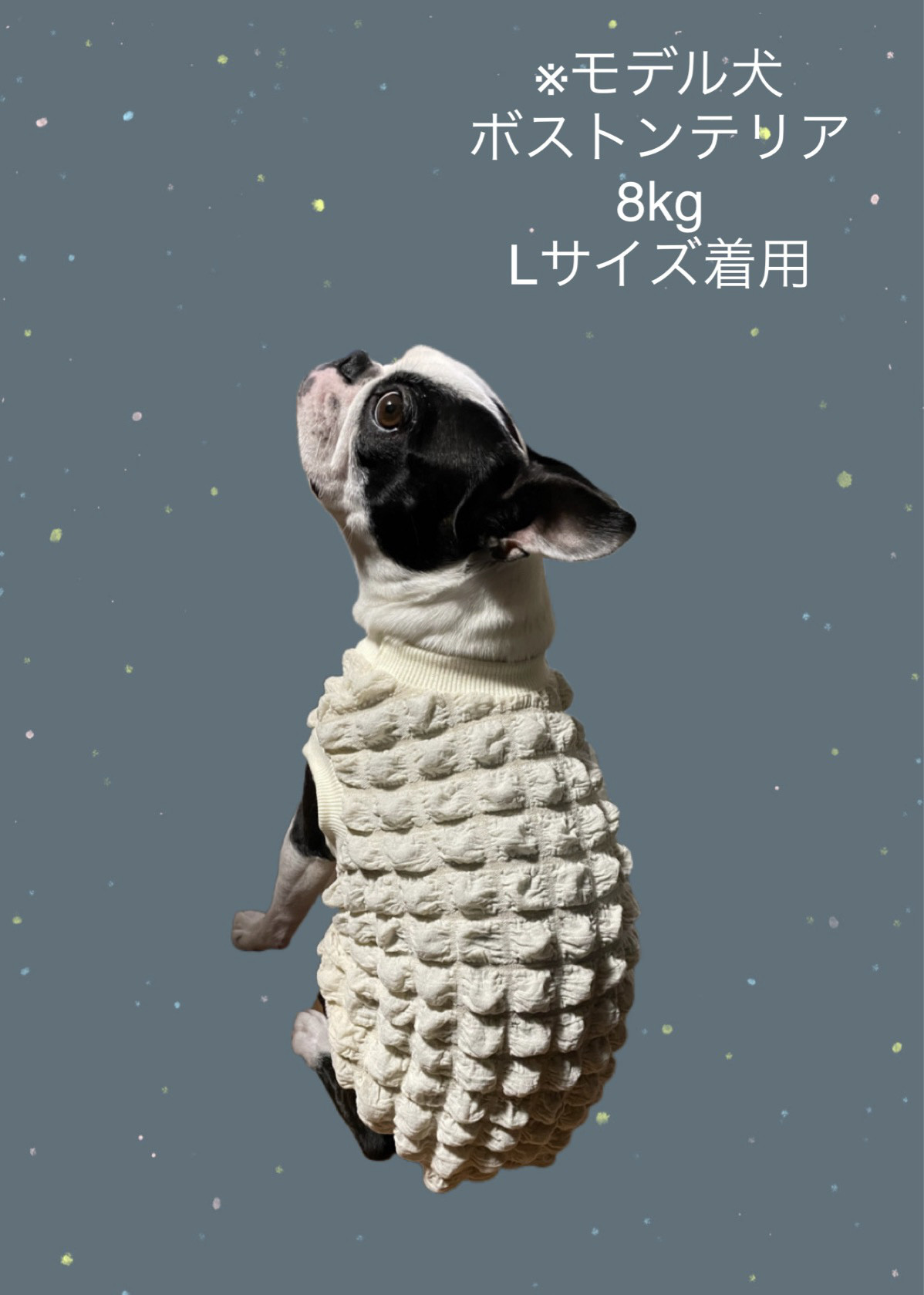 ハンドメイド犬服【YOBOO】 みほ様☆犬服☆ハンドメイドオーダー☆2着✩.* ハンドメイド犬服用
