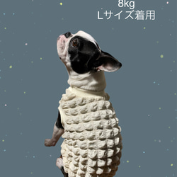 犬服ハンドメイド　タンクトップ(でんこ) 犬服 ぽこぽこタンクトップ オフホワイト☆Mサイズ