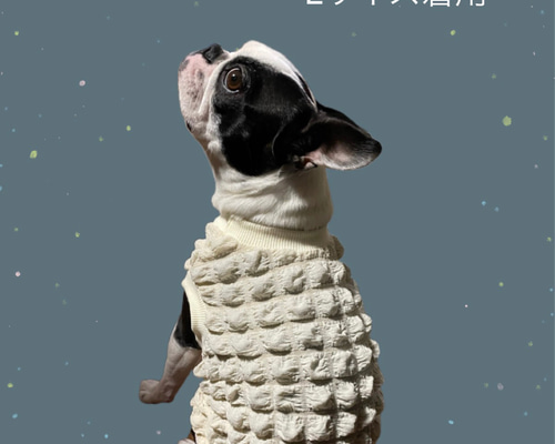 犬服 ぽこぽこタンクトップ オフホワイト☆Mサイズ