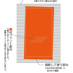 スーパーで売っているパクチー柄ダブルガーゼショール 7枚目の画像