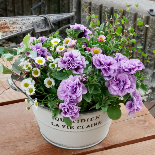 お花のハンドメイド2点 母の日にも♪ 寄せ植え 花□ペチュニアのミニ寄せ植え ガーデニング